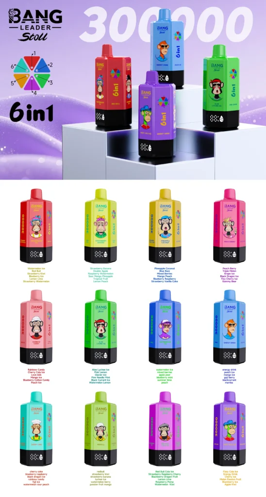 bang-leader 300k-puffs-vape-flavor-list